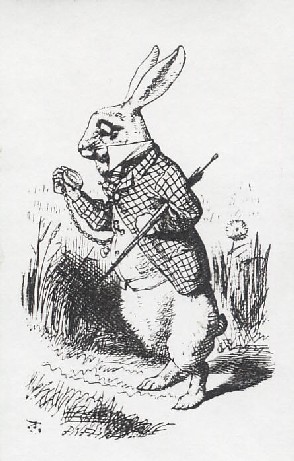 L'image http://www.traou.net/blog/images/Lapin.jpg ne peut être affichée car elle contient des erreurs.
